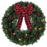 National Tree Company 24 in Pre-Lit Crestwood Spruce Artificial Christmas Wreath, Christmas Decoration with Glitter, Pinecones, Red Berries, 50 Clear LED Lights, 160 Tips, Timer, Green