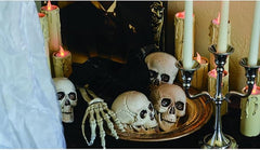 Fun Express Bag of Bones – 12 Pack 5" Realistic Plastic Skulls for Halloween