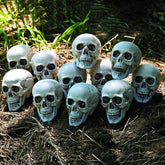 Fun Express Bag of Bones – 12 Pack 5" Realistic Plastic Skulls for Halloween