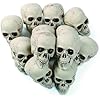Fun Express Bag of Bones – 12 Pack 5" Realistic Plastic Skulls for Halloween
