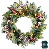 National Tree Company 24 in Pre-Lit Crestwood Spruce Artificial Christmas Wreath, Christmas Decoration with Glitter, Pinecones, Red Berries, 50 Clear LED Lights, 160 Tips, Timer, Green
