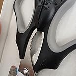 lizabat Kitchen Scissors – Gothic Bat Stainless Steel Shears