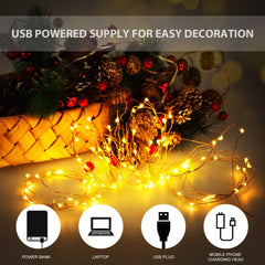 USB Powered Six Meter LED Fairy String Lights for Home and Event Decor