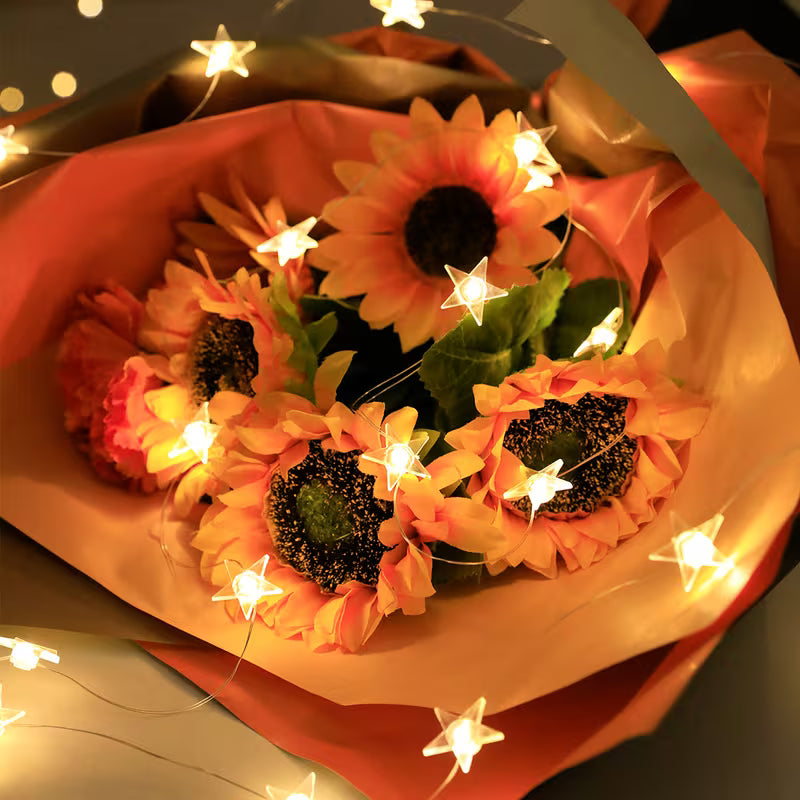 HEEMUUM Pink Starry Night Decoration Light for Home and Event Decor